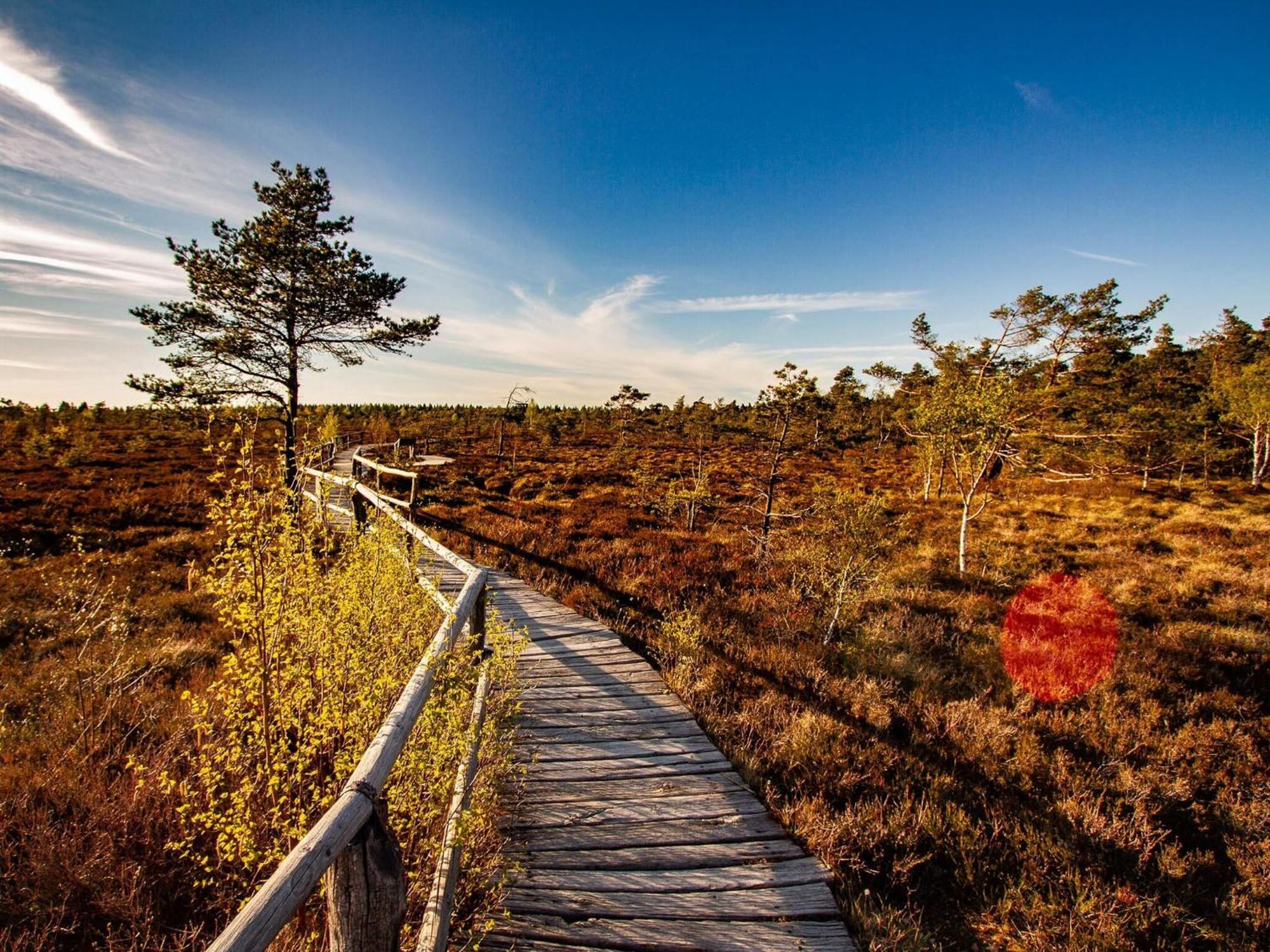 Feriendorf Wasserkuppe Abtsroda Екстериор снимка